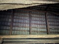 Fotka 9