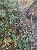 Fotka 5